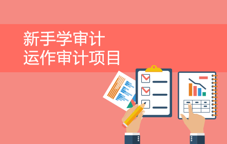 学审计——如何运作审计项目、出具报告