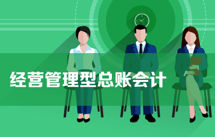 手把手教你做好经营管理型总账会计