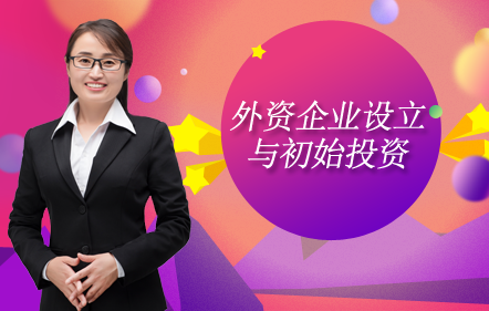 外资企业设立与初始投资