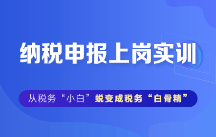 納稅申報上崗實訓