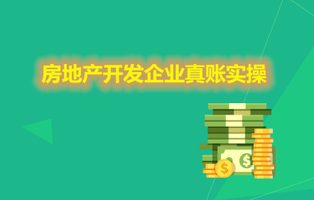 【免費課】房地產開發企業真賬實操