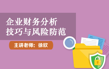 企业财务分析技巧与风险防范