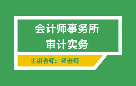 會計師事務(wù)所審計實務(wù)