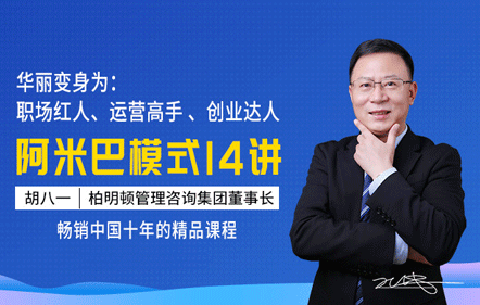 阿米巴经营之道