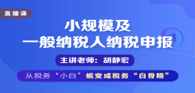 小规模及一般纳税人纳税申报
