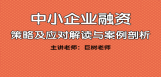 中小企业融资 策略及应对解读与案例剖析