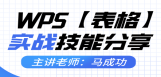 WPS【表格】实战技能案例解析