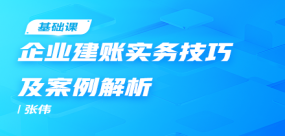 企业建账实务技巧及案例解析
