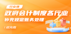 政府會(huì)計(jì)制度各行業(yè)補(bǔ)充規(guī)定賬務(wù)處理