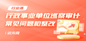 行政事業單位巡察審計常見問題和整改