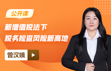 【免费】新增值税法下，税务检查风险新高地